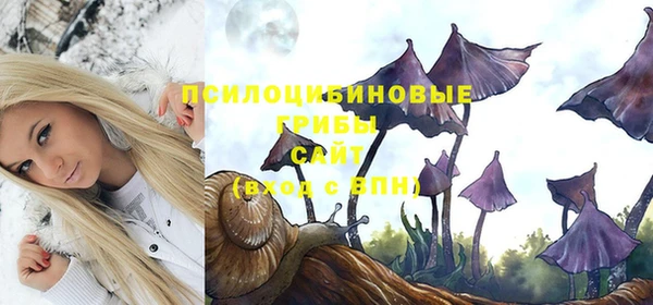 ПСИЛОЦИБИНОВЫЕ ГРИБЫ Михайлов