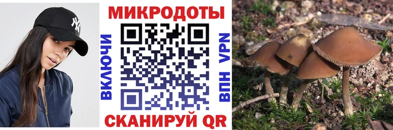 Псилоцибиновые грибы мицелий Купить Мамадыш