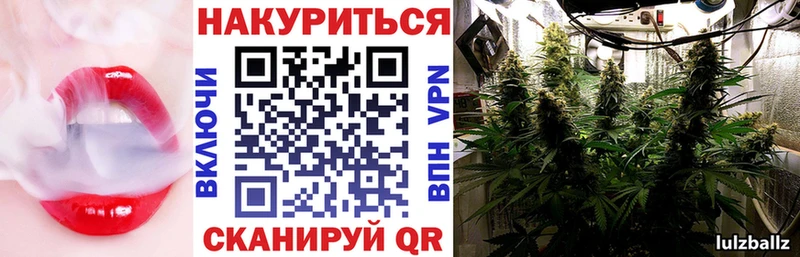 Купить где  Мамадыш  Конопля гибрид 